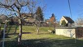 Blick in den Garten - 