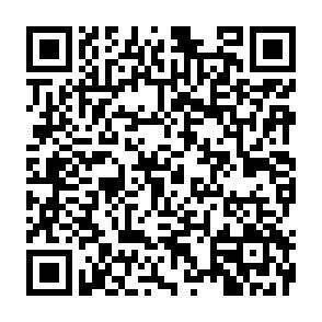 QR-Code - 
