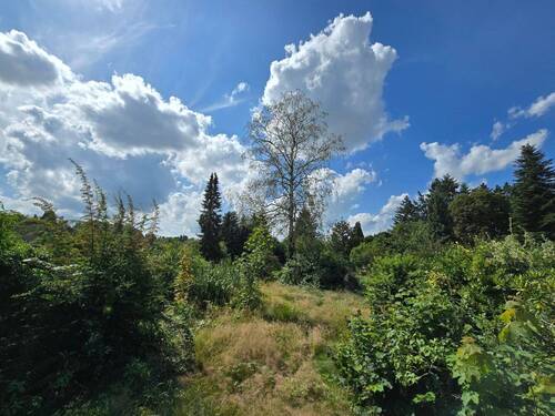 Sonnenverwöhnter Garten - 