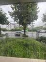 Bild 4 - Mehrfamilienhaus, Wohnhaus mit 210,00 m² in Mannheim / Käfertal zum Kaufen