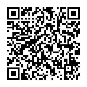 QR-Code - 
