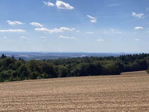 Blick in die Rheinebene - 