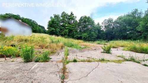 Bild - INVESTOREN aufgepasst - großes, ebenes Baugrundstück in Michelstadt Steinbach