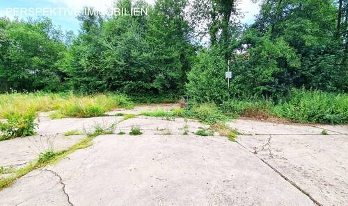 Bild - Grundstück in Michelstadt