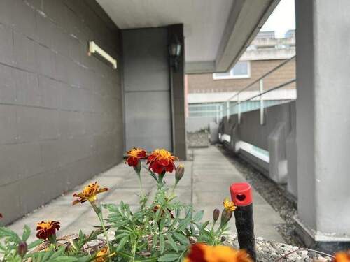 561 - genießen Sie bei jedem Wetter - 