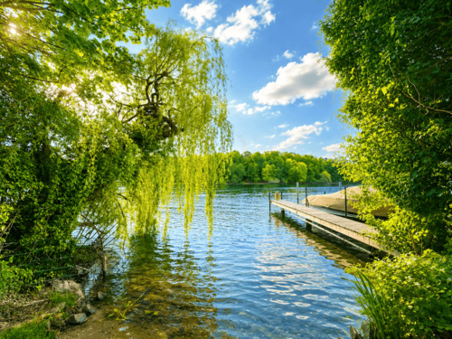 Fußläufig entfernter Seezugang (2 min. Entfernung) - 