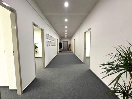 rBLzz - 1 Zimmer Büro zur Miete in Hamburg