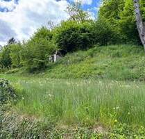 Baugrundstück mit positiver Bauvoranfrage in Berlebeck! - Detmold / Berlebeck