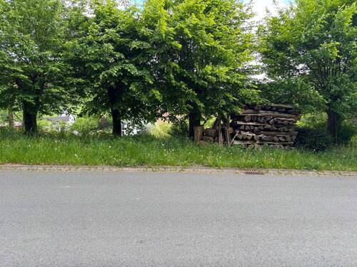 Straßenansicht - Grundstück zum Kaufen in Detmold / Berlebeck