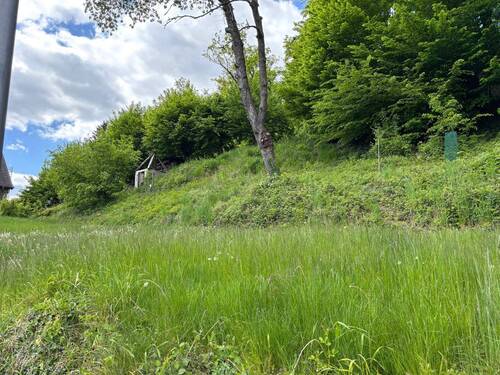 Seitenansicht - Grundstück in Detmold / Berlebeck zum Kaufen