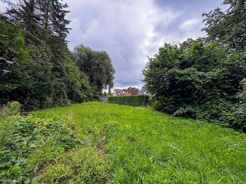 Garten - 