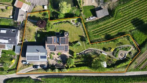Vogelperspektive auf das Grundstück mit meditarranem Vorgarten, Teich, großer Wiese und vielen Details - 1 Zimmer Einfamilienhaus zum Kaufen in Vogtsburg i.K. / Bickensohl