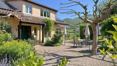 Mediterran gestalteter Vorgarten - 