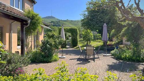 Zahlreiche Ziersträucher, Rankpflanzen und gewachsene Bäume zieren den Vorgarten - 