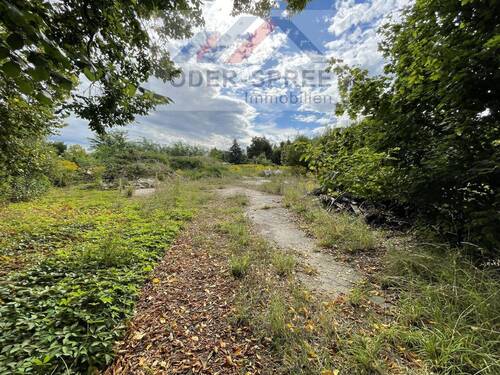 Grundstück - Grundstück zum Kaufen in Briesen (Mark)