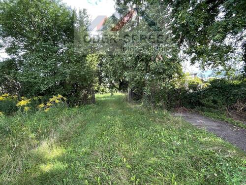 Grundstück - Grundstück in Briesen (Mark)