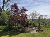 Garten - 