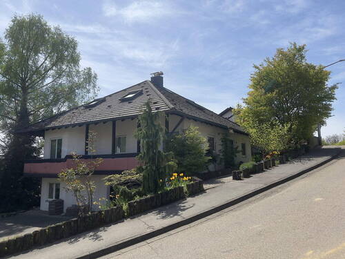Außenbereich - 7 Zimmer Einfamilienhaus zum Kaufen in Günzburg