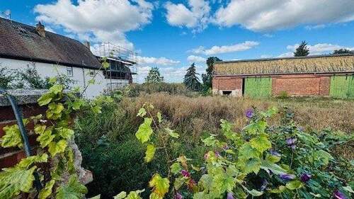 Blick ins Grundstück zur westlichen Nachbarbebauung - Grundstück zum Kaufen in Schkeuditz