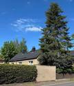 Straßenansicht - 4 Zimmer Einfamilienhaus zum Kaufen in Oederan