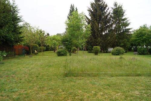 Grundstück-1 - Grundstück in Dabendorf mit Blick auf Feld und Naturschutzgebiet
