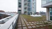 Terrasse - 