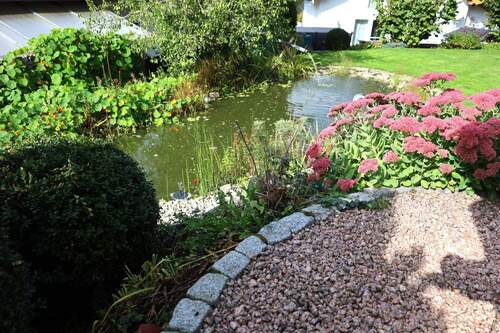 Teich - 