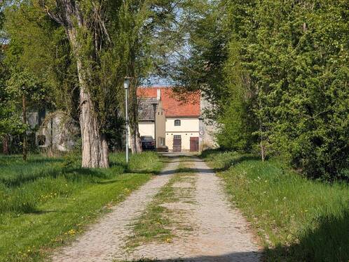 Einfahrt zum Grundstück - 4 Zimmer Mehrfamilienhaus, Wohnhaus zum Kaufen in Hedersleben