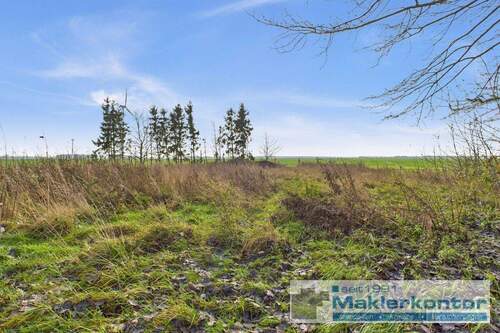 Grundstück hinter der Stallung - 