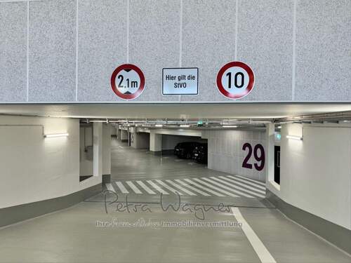 Bild 11 - 