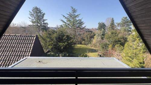 Blick in den Garten über Anbau Sonne - 