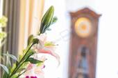 IMPRESSION STANDUHR - 