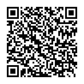 QR-Code - 