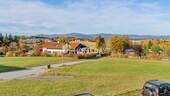 Ausblick - 