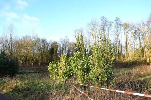 Baugrundstück - Grundstück in Nettetal zum Kaufen