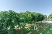 Blick von der Loggia ins Grüne - 