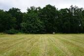 Wald_Bild_Duempel_Immowelt_011.jpg - 