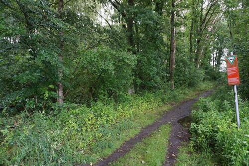 Wald_Bild_Duempel_Immowelt_015.jpg - 