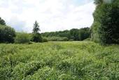 Wald_Bild_Duempel_Immowelt_018.jpg - 