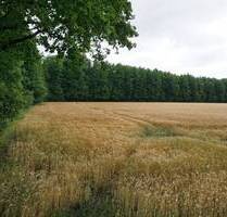 2 Wald- und Sumpfflächen 78.886 m² im Naturschutzgebiet in 21339 Lüneburg Ochtmissen Waldflächen , kein Bauland!