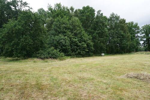 Wald_Bild_Duempel_Immowelt_009.jpg - 