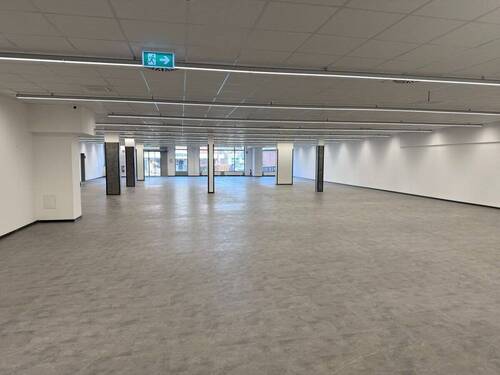 Verkaufsfläche - Gewerbeobjekt (Büro, Produktion, Verkauf) in Schwarzenbek zur Miete