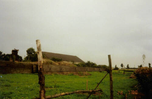 Grundstück - Idyllisches Bauland in Hohenfelde: Natur pur nahe SchwedtOder! Preis VHB!