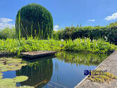 Gartenteich - 