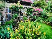 Garten und Terrasse - 5 Zimmer Einfamilienhaus in Newel