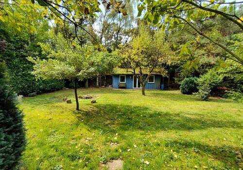 Garten mit Gartenhütte - 