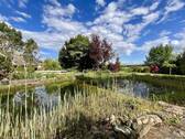 Schwimmteich - 