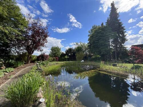 Schwimmteich - 
