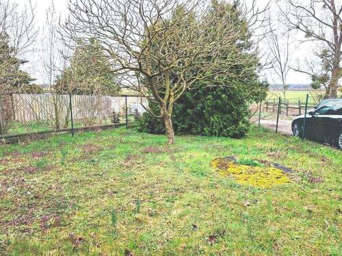 20250331_102523.jpg - 