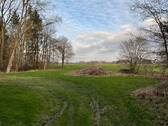 Blick auf die angrenzende (eigene) Weide und den kleinen Baumbestand - 